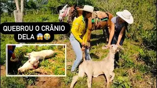 FATALIDADE O QUE ACONTECEU COM ELA! Muito triste.