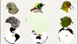 Evolyutsiya