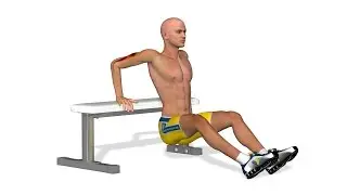 Muscler ses bras: Tricep bench dips