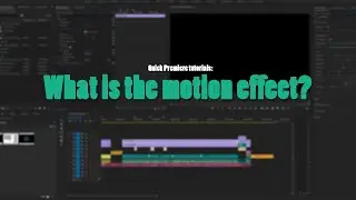 Premiere Pro QUICKS | what is the motion effect?