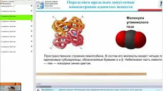 Проект "ЭКОлекторий". Онлайн мастер-класс Определяем ПДК (16.09.2020)