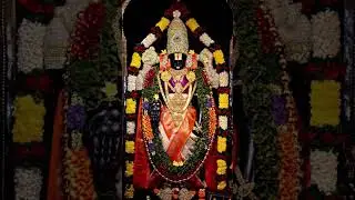 TTD news #ttd_news #tirumaladarshanam #tirumalanews