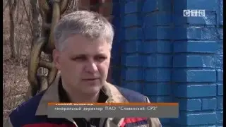 Посадка елок