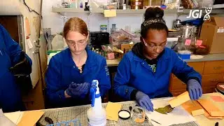 Countering Sudden Oak Death through Community Science