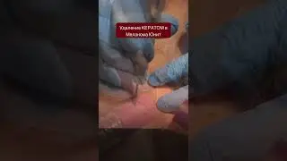 20 марта 2024 г.