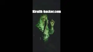 Hacker Kiralama yorumları