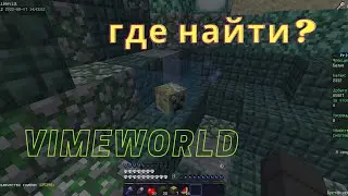 КАК? ГДЕ НАЙТИ ГОЛОВУ ДЛЯ ТРЕНЕРА || VimeWorld PRISON ГУГОЛОВА