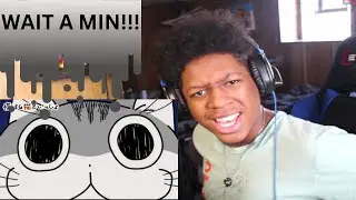HOW WE MISS THIS?!? | Yoru Wa Neko To Issho Ed Reaction