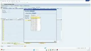 How to set default values in Purchase Order Sap ME21N