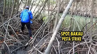 Mancing di Hutan Bakau Yang Dipenuhi Ikan Afrika