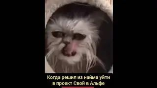 как я вижу новичков, которые решили зайти в #бизнес и не знают с чего начать. #хочуденег