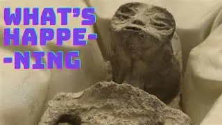 Aliens at Mexican Congress ?