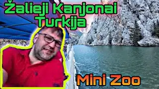 MINI ZOO, Liutukas I TURKIJOS Zaliasis KANJONAS I #furistas #lietuviskai #lietuva #turkija #keliones