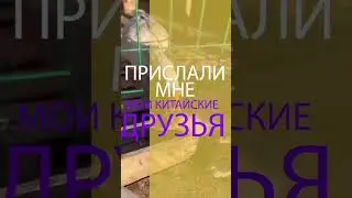 Гуси густ ГА ГА ГА !)