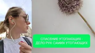 ПОЧЕМУ МЫ ДОЛЖНЫ САМИ СЕБЯ СПАСАТЬ?! DIY
