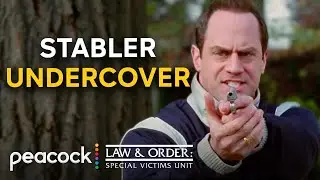 Stabler The Undercover Master | Law & Order