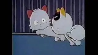Tama and Friends Intro