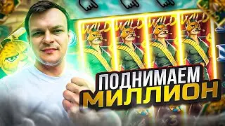 стрим казино. заносы недели