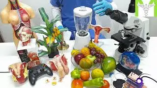 Medical t presentation | #top1plus | the healthy channel | 😊👌 | स्वस्थ चैनलh chainal | #A-Z | Salud