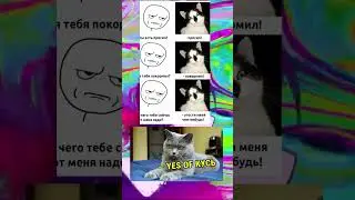 #мемасы  #мемы_тикток #меме #коты #котыприколы #мем  #кот #котики #мемы2023 #мемас