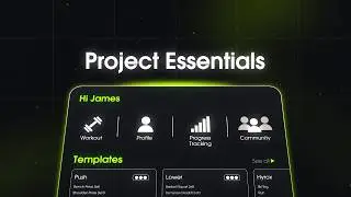 Project Essentials - Complete Motion Design Course