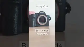 📸 Sony A7 III Burst Mode 