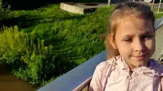 Уточки живут рядом с переездом.
