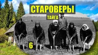 КОЛХОЗ САТАНА ТАЙНОЕ ВЕЧЕ СТАРОВЕРЫ РАСКОЛЬНИКИ УБЕЖИЩЕ ДОМ в ЛЕСУ ИСТОРИИ из ЖИЗНИ КНИГА СЕРИАЛ 6