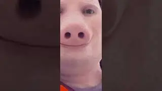brainrot video #brainrot #shorts #bruh #diarrhea #fart #johnpork #john #pork