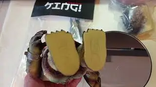Unaffiliated KING! Premier Full set