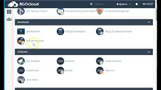 cPanel - Editing my domain DNS records