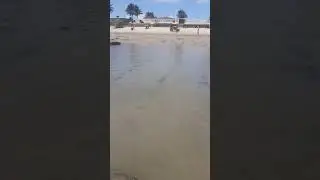 Allyce Na Praia Brincando Com O Primo.