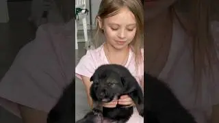Обо….ася ⁉️ ДА‼️ Чёрный Волк и Ариадна
