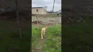 Титаник