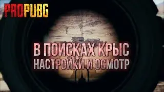 В ПОИСКАХ КРЫС, ГДЕ НАХОДИТЬ ВРАГОВ - PRO PUBG (Настройки и правильный осмотр)