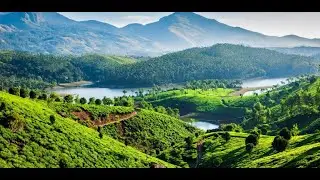 3riverhoildays.com | Tour &  Travels | Munnar