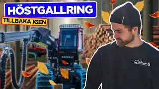 HÖSTGALLRING PÅ NYTT OMRÅDE
