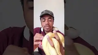 Posso ter uma Python ball em casa? #pythonregius #pythonlove