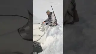 Зачем мы сюда поехали? 4x4