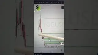 обзор альткоина YGG