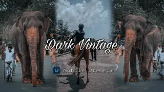 Dark Vintage Presets - Background Photo Editing Lightroom Tutorial in Mobile | Free Dark Preset 2022