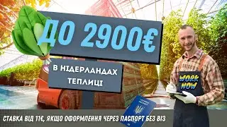 Робота в Європі! Теплиці в Нідерландах – Заробляй легально та стабільно! 🇳🇱