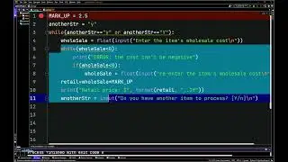 Python - Nested while Loops - Validation