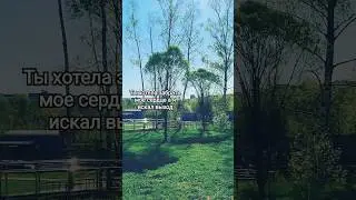 Кабы не было тебя – Клава Кока, Feduk🌐☀ #shortvideo #shorts #music #song