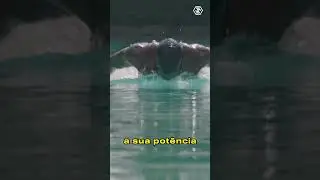 O melhor aliado para atletas de alta performance #shorts