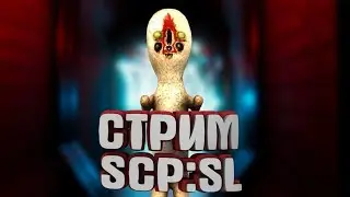 Стрим по SCP:SL!(сцп секрет лаборатори)