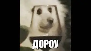 Дороу