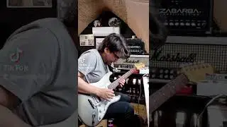 Stef Burns un senso Solo VASCO #vasco #vascolive #vascorossi #stefburns #guitar #guitarcover