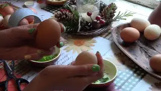Эксперимент с ольхой Как это было Татьяна Беспалова