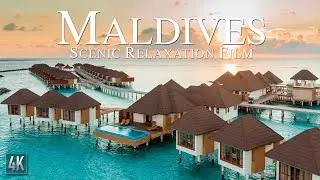Maldives 4K Relaxation Video | Tropical Island Drone Footage | Maldivas 4K | 